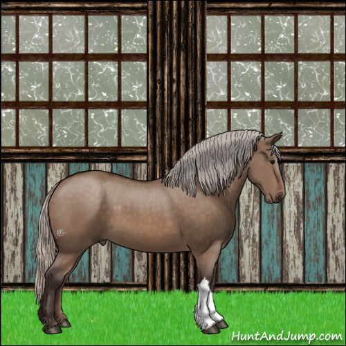 Horse Color:Silver Brown Dun