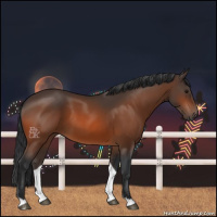 Horse Color:Bay 