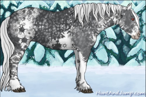 Horse Color:White Spotted Silver Black Chinchilla Tobiano 