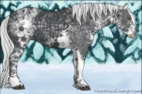 Horse Color:White Spotted Silver Black Chinchilla Tobiano 