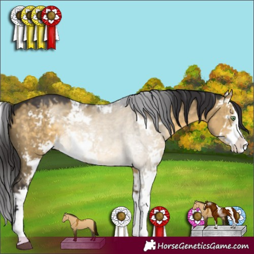 Horse Color:Buckskin Dun Sabino 