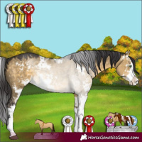 Horse Color:Buckskin Dun Sabino 