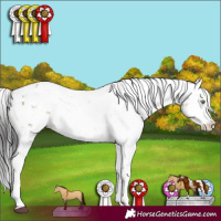 Horse Color:Buckskin Dun Sabino