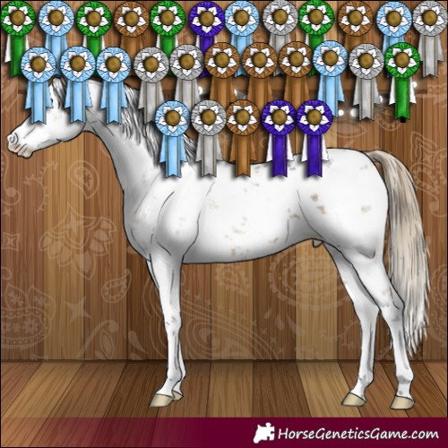 Horse Color:White Spotted Liver Red Dun Sabino 