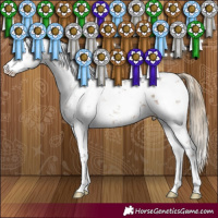 Horse Color:White Spotted Liver Red Dun Sabino 