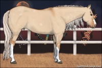 Horse Color:Silver Bay Dun 