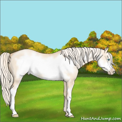 Horse Color:Palomino Pearl Dun Sabino Frame