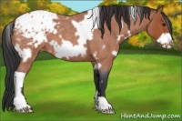 Horse Color:White Spotted Bay Roan Frame Blanket 