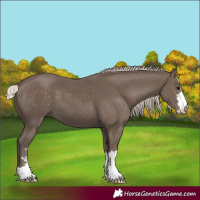 Horse Color:Silver Black 