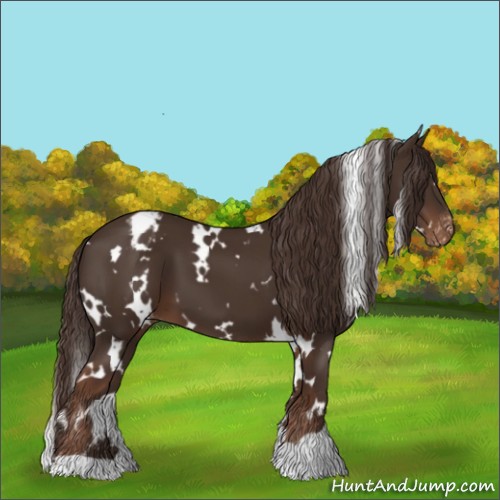 Horse Color:White Spotted Liver Chestnut Varnish
