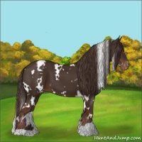 Horse Color:White Spotted Liver Chestnut Varnish 