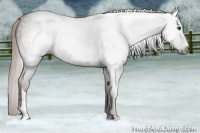 Horse Color:Gray Chocolate Palomino Roan 