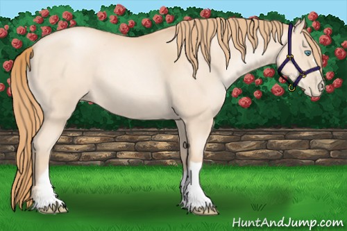 Horse Color:Gold Champagne Pearl