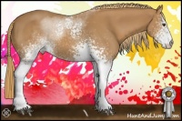 Horse Color:White Spotted Chestnut Sabino