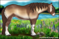 Horse Color:Red Onyx 