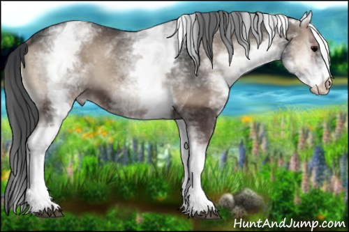 Horse Color:White Spotted Blue Onyx 