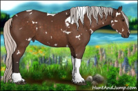 Horse Color:White Spotted Silver Brown Tobiano