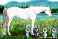 Horse Color:Chestnut Near Leopard 