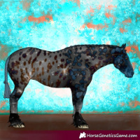Horse Color:ERROR: UNKNOWN ANOMALY