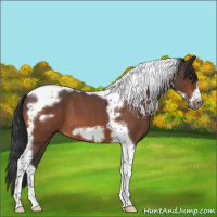 Horse Color:Bay Roan Tobiano Frame 