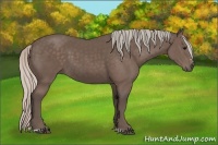 Horse Color:Silver Black Sabino 