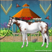 Horse Color:Buckskin Splash Frame 