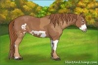 Horse Color:Chestnut Splash Frame  and Chestnut Splash Frame 