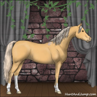 Horse Color:Palomino 