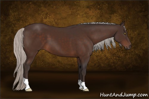 Horse Color:Silver Brown 