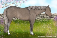 Horse Color:Silver Grullo Sabino 