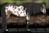 Horse Color:Brown Frame 