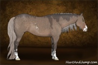 Horse Color:Silver Grullo Sabino 