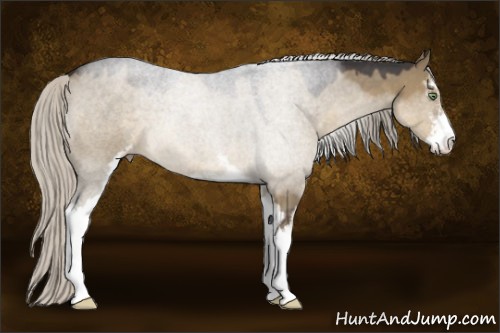 Horse Color:Silver Smoky Grullo Roan Sabino 