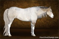 Horse Color:Silver Smoky Grullo Roan Sabino 