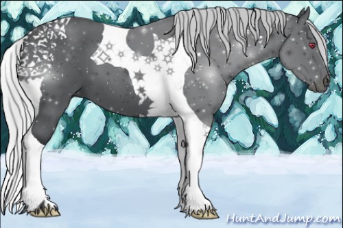 Horse Color:Silver Black Chinchilla Tobiano 