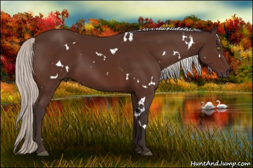 Horse Color:White Spotted Silver Brown 