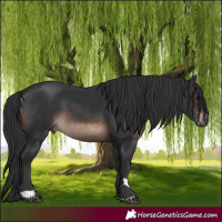 Horse Color:Brown 