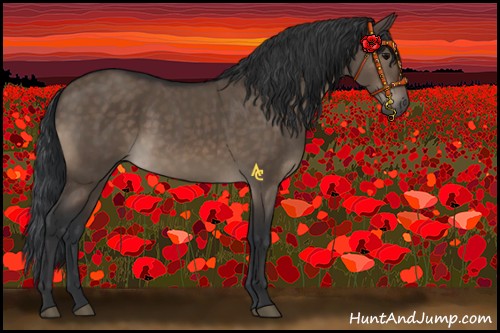 Horse Color:Brown Dun 