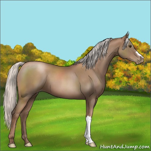 Horse Color:Silver Black Pearl 