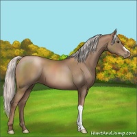 Horse Color:Silver Black Pearl 