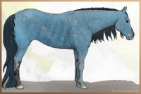 Horse Color:ERROR: UNKNOWN ANOMALY
