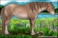 Horse Color:Black Pearl