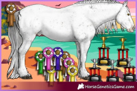 Horse Color:White Spotted Brown Sabino Appaloosa 