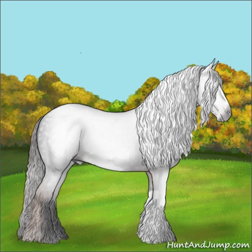 Horse Color:Gray Liver Chestnut 