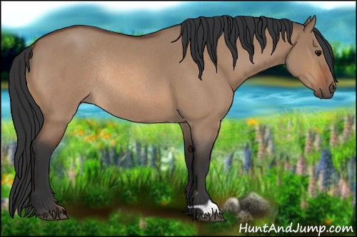 Horse Color:Bay Roan Dun Rabicano