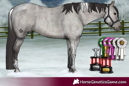 Horse Color:Smoky Grullo Roan Tobiano 
