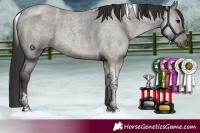 Horse Color:Smoky Grullo Roan Tobiano 