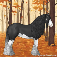 Horse Color:Black Splash 