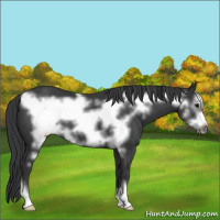 Horse Color:Black Frame 