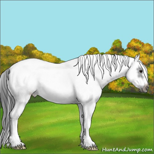 Horse Color:White Spotted Blue Roan Splash Frame 
